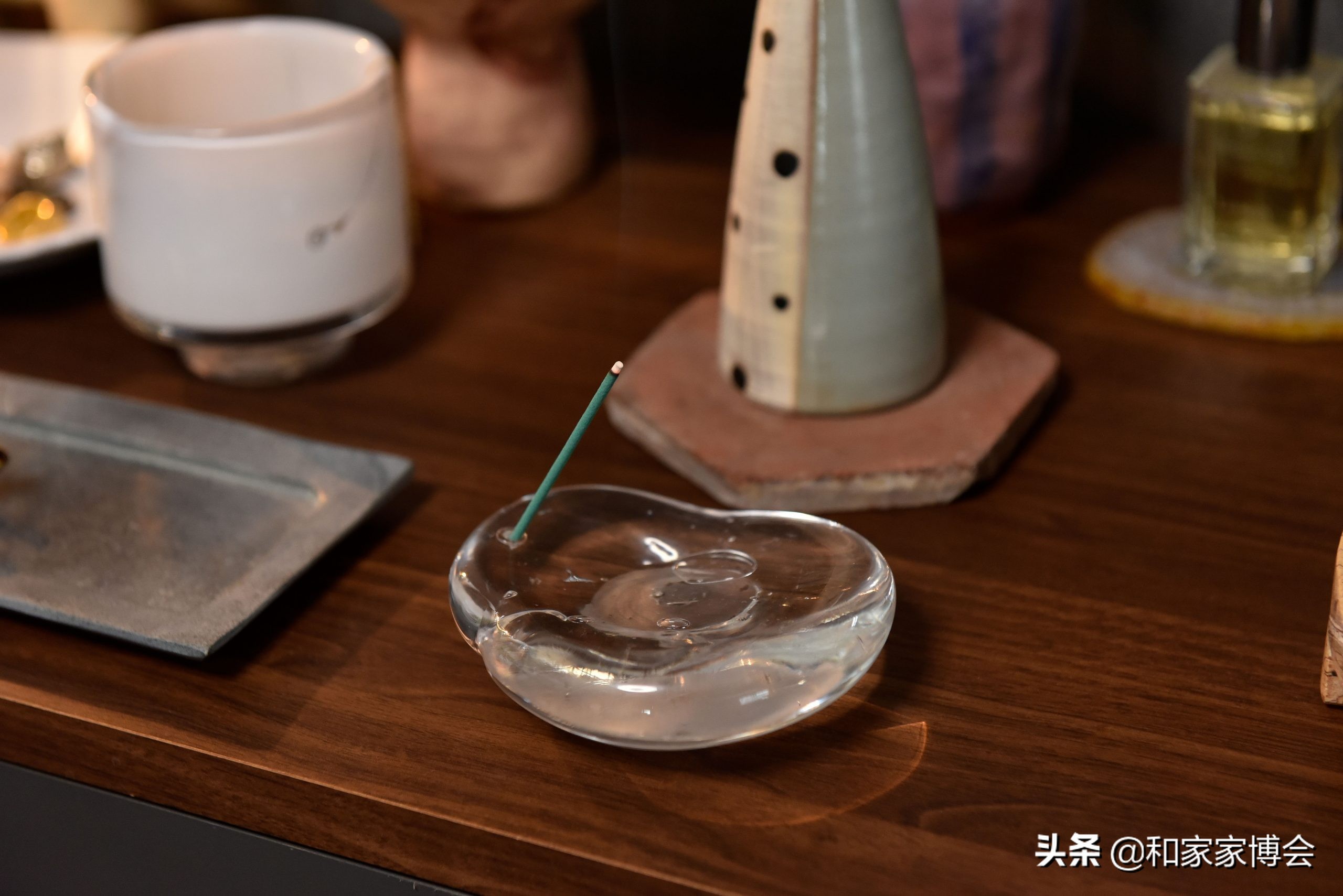 日本女生的“一居室”走红ins，一人一狗的独居生活