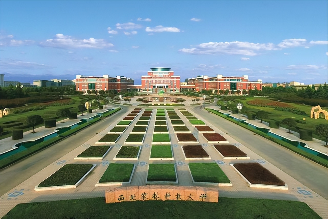 这所211大学“太心酸”，学生毕业可“包分配”，可还是无人问津