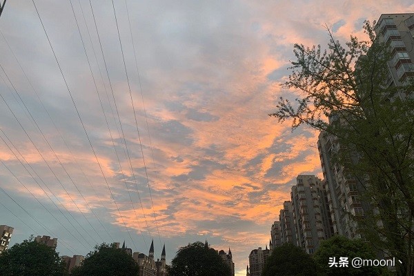 三证合一是什么意思(三证合一后的营业执照)