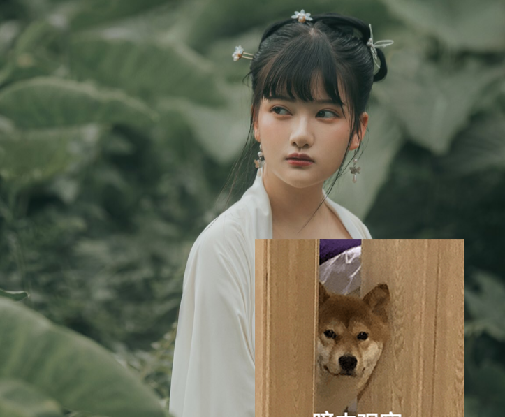 进宫三月后出来的小尤奈，在外网的照片愈发不堪入目！-哪边嗨