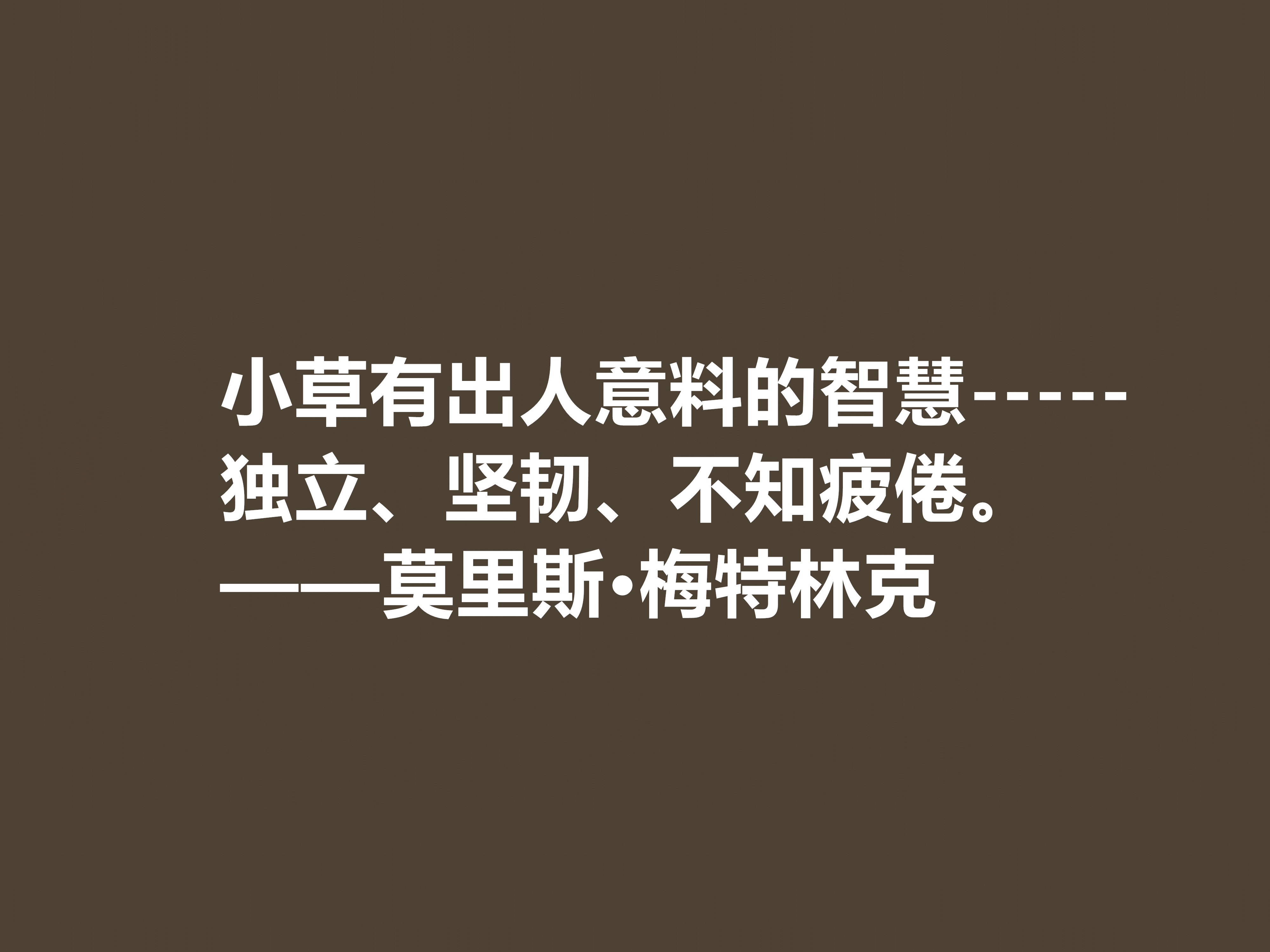 他是象征主义作家，一生追求光明与美，这十句格言，说得真透彻