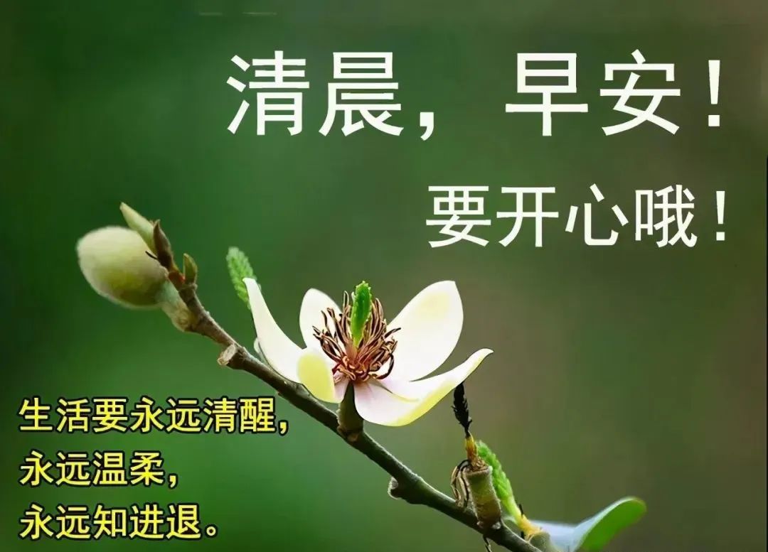 早安吉祥：用心倾听，才能获得快乐的真谛，早安