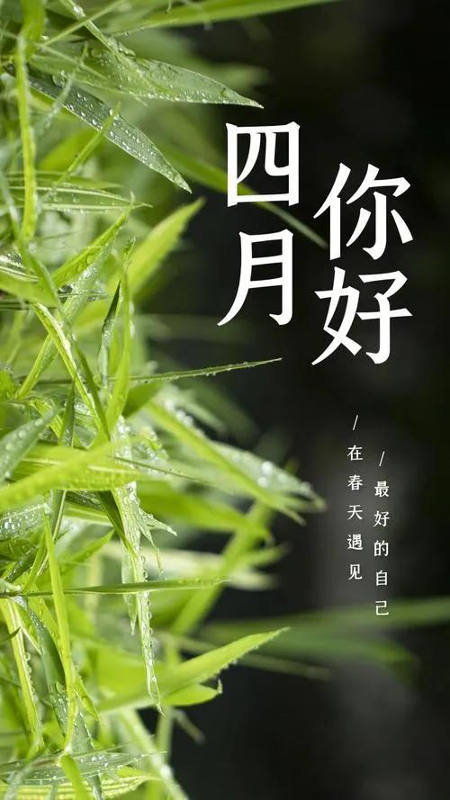 四月祝福语唯美精短句子文案,杏花微雨,春末芳菲