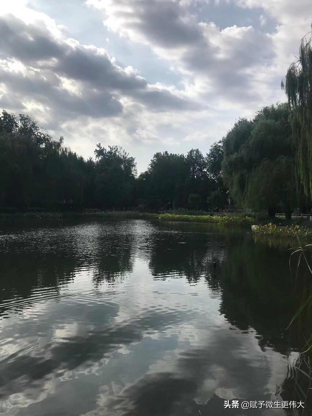 待一会——风云际会凭水遥
