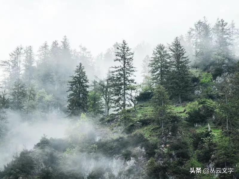 百读不厌！纳兰性德最美的10首词，字字珠玑，值得细细品味