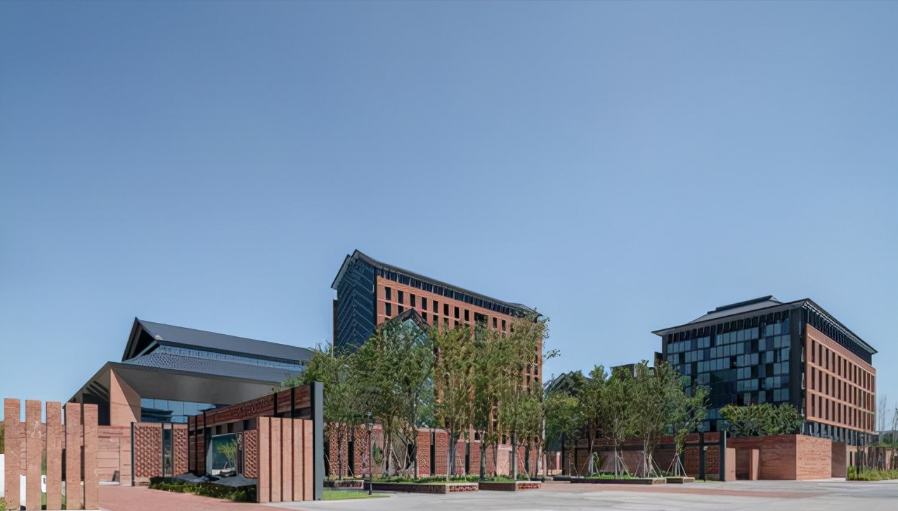 恭喜！浙江大学组建新学院，院士担任院长，网友却说：真的没必要