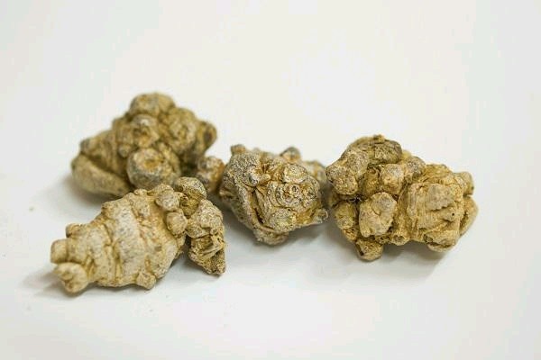 片仔癀究竟能治哪些病 片仔癀可以治疗哪些病