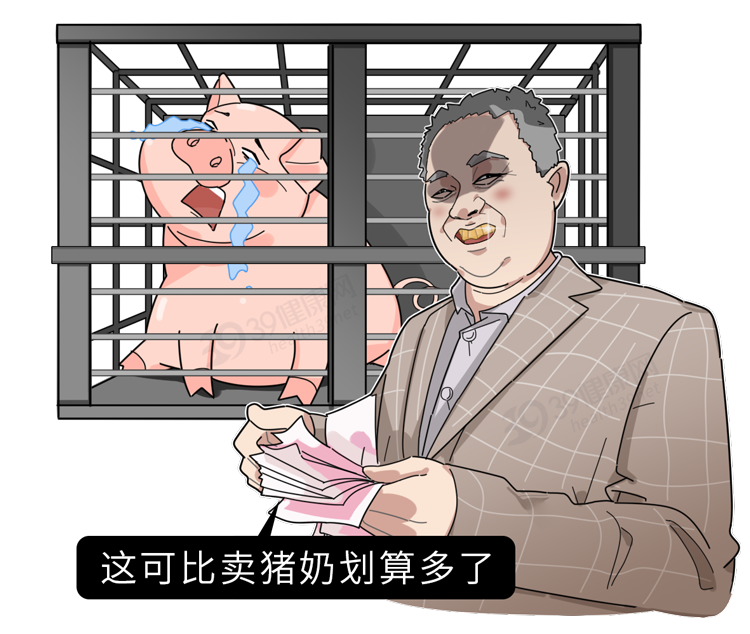 “猪奶”是什么味道？为什么没人喝？其实，它的营养比牛奶还要高