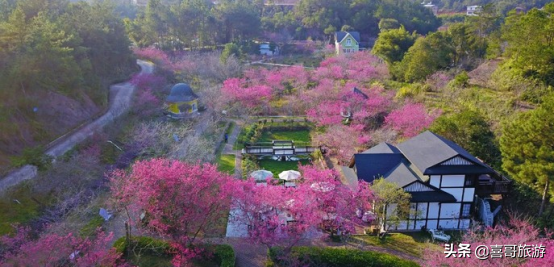 广东梅州市梅江区十大景区有哪些？自驾游如何安排行程？