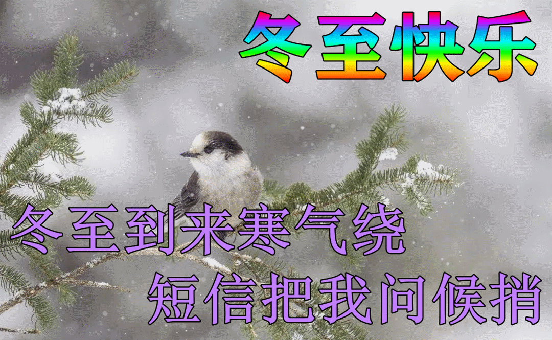 12月21日早上好祝福语图片 今日冬至愿你冬至快乐安好幸福到永远