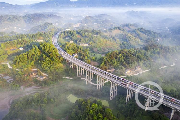 男子骑电动车高速逆行被撞身亡，家属起诉索赔38万，如今法院判了