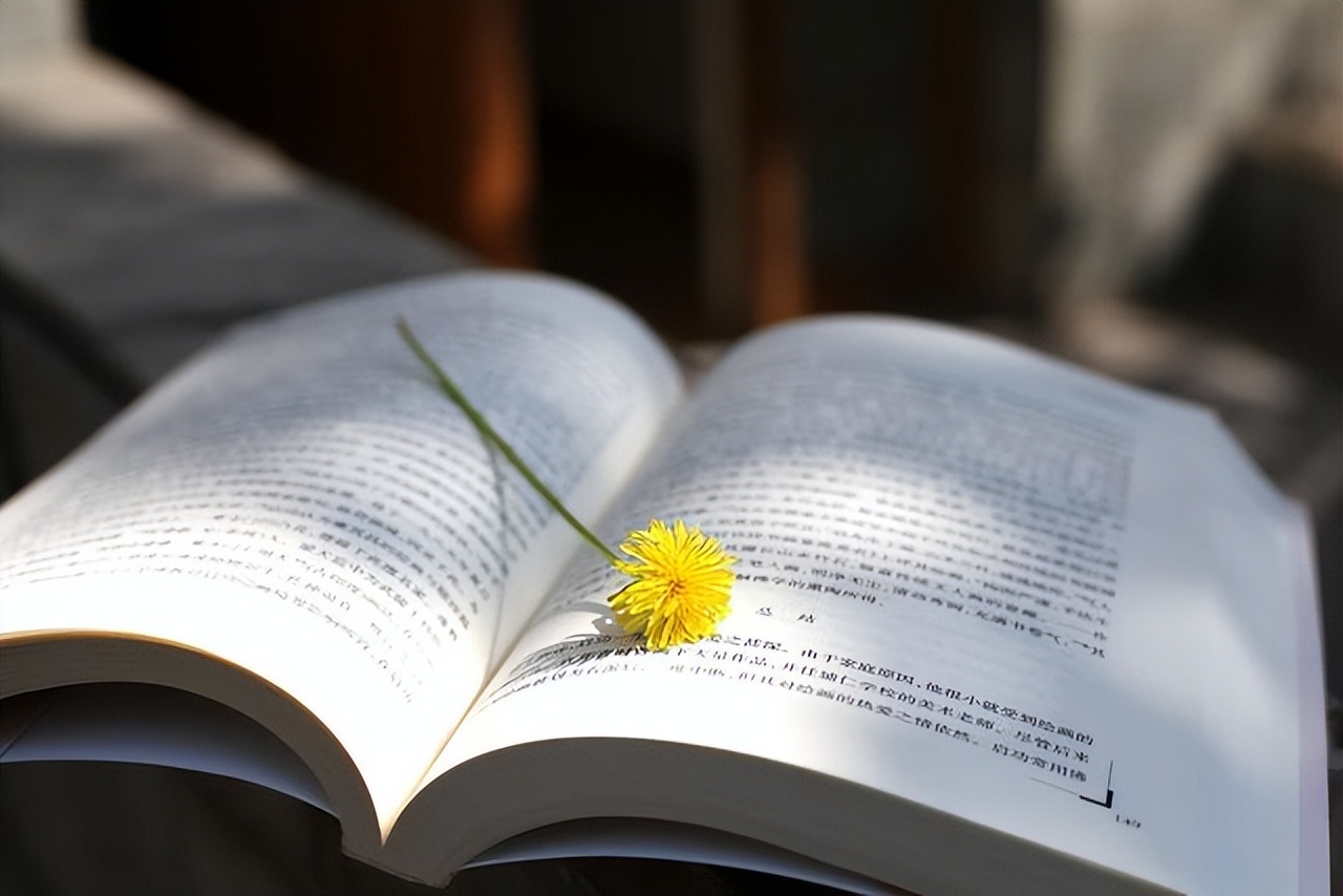 大学生就业困难，孩子是否应早早地出来工作？这篇文章都会告诉你