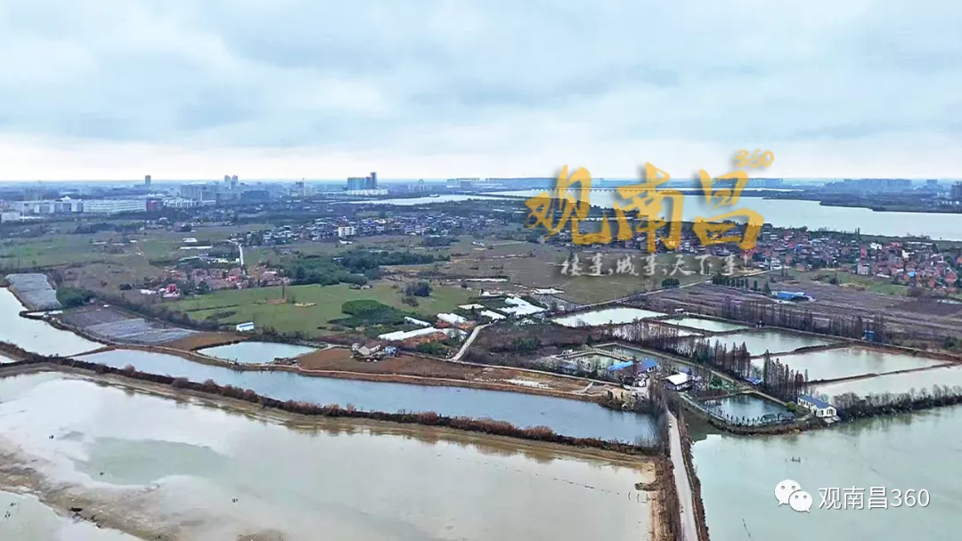 南昌市高新技术开发区,南昌市高新技术开发区属于哪个区