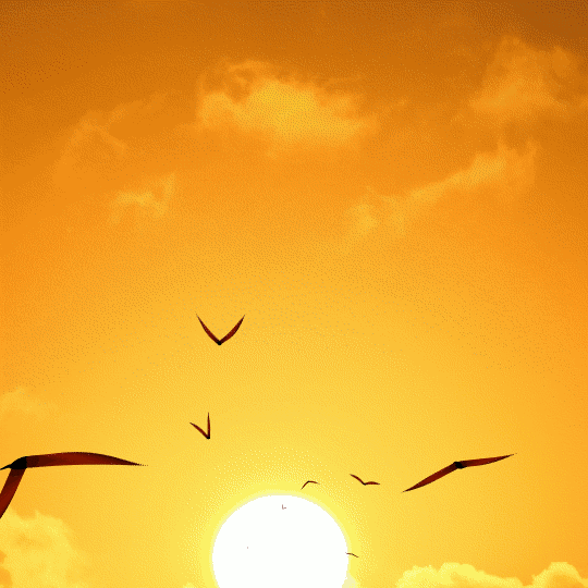 疫情之下,你不必成为英雄