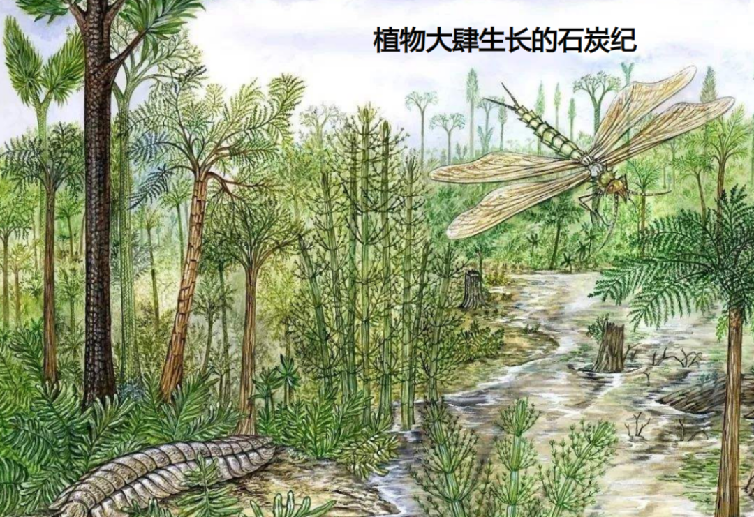 恐龙称霸地球前，地球的统治者有谁？科学家给出答案