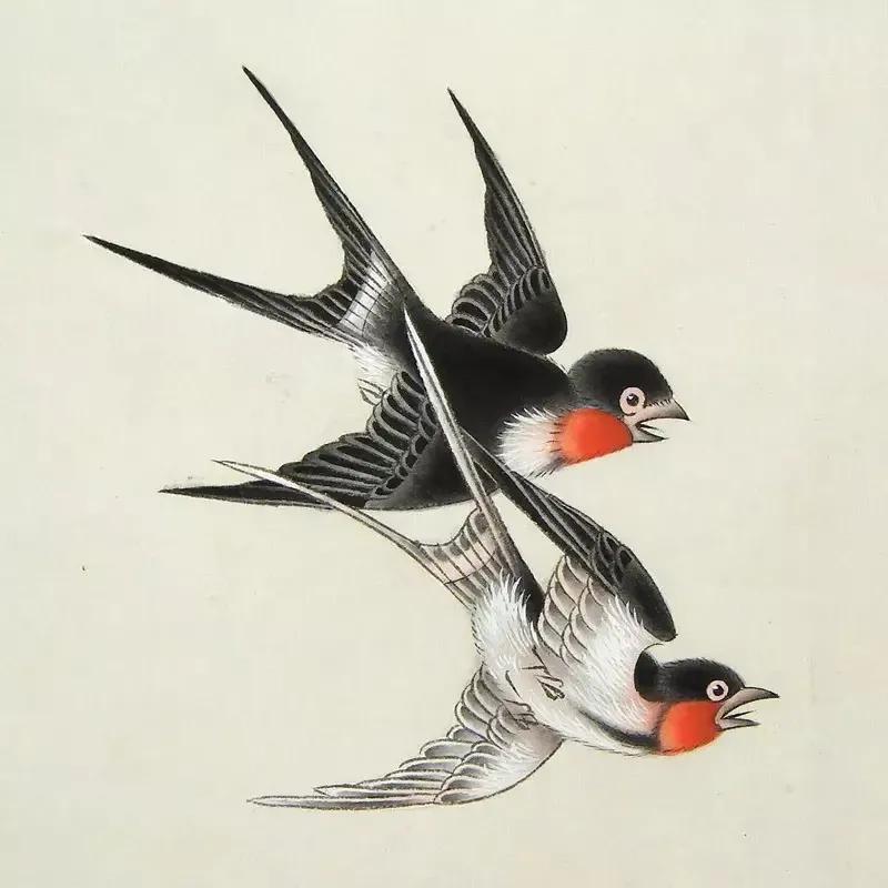 燕子赋(原创现代散文诗)