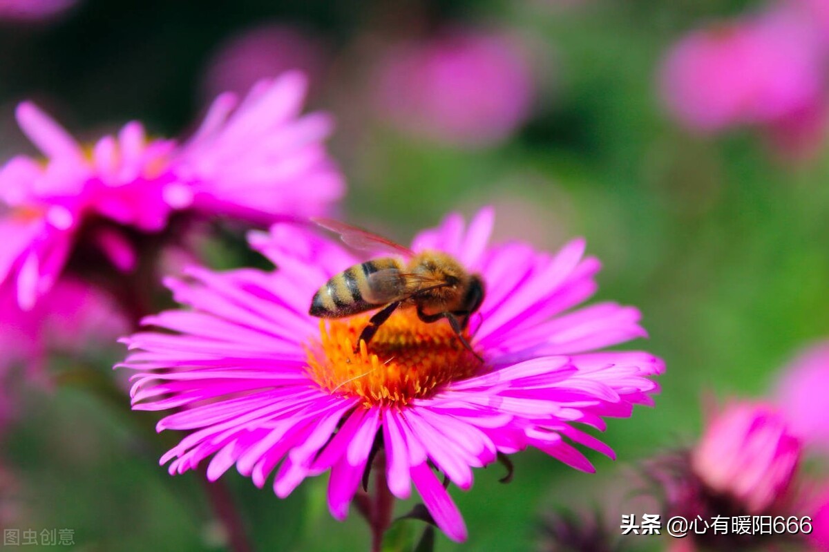 毁掉人一生的不是能力，而是贫穷带来的绝望与无助