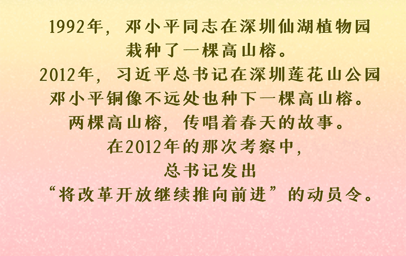 绘学习丨习近平与“树”的故事