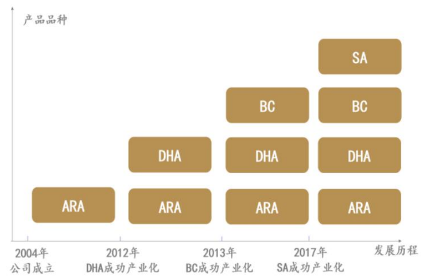 红杉、高瓴重注的赛道，一家市值不到50亿的合成生物学潜力新星