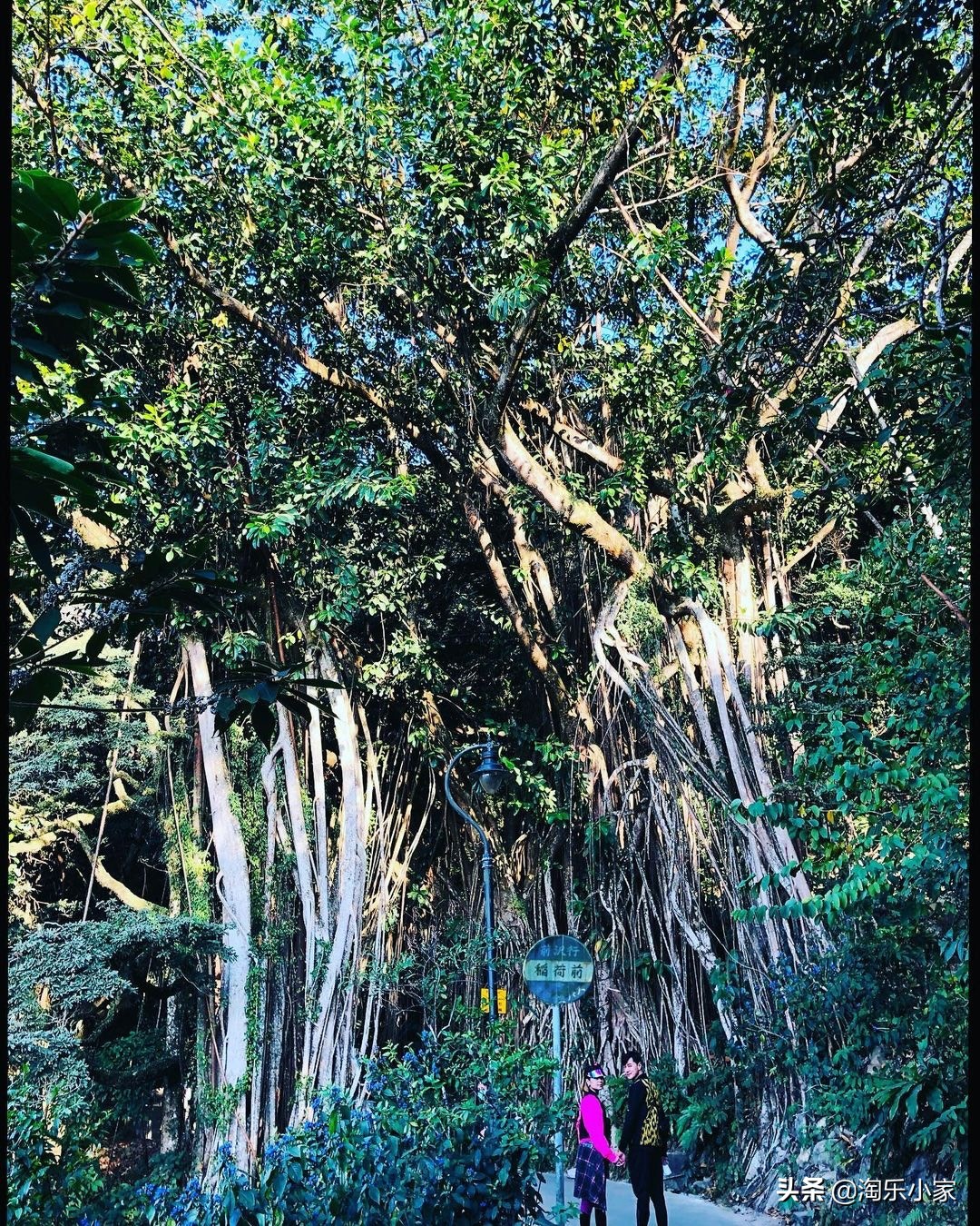 黄浩然已于去年6月低调离巢，效力TVB15年原来从未做过亲生仔