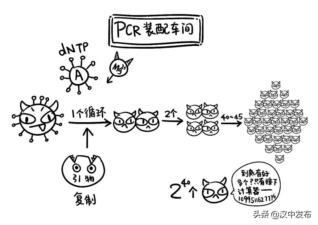 勿催！一份核酸檢測(cè)報(bào)告的誕生不簡(jiǎn)單→