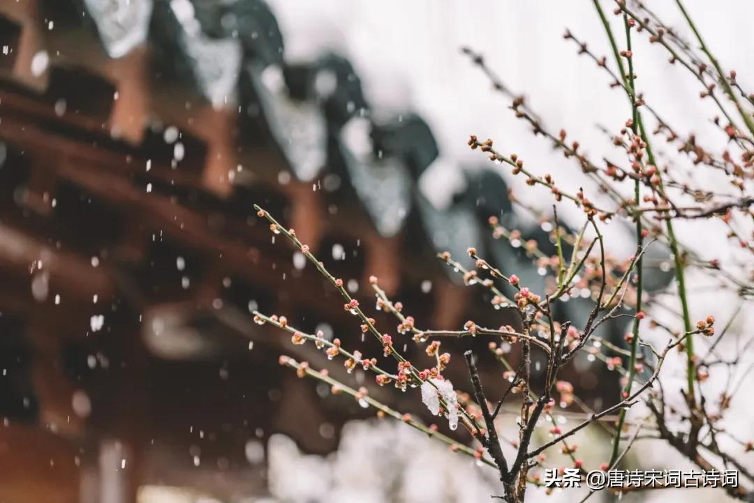 冬天，并未沉睡