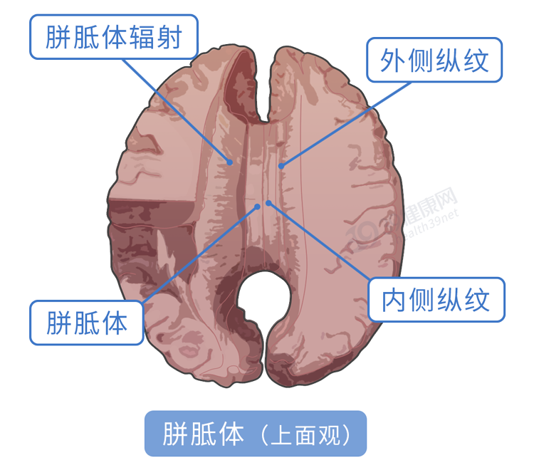 女生是如何靠第六感，发现男朋友出轨的？最科学的解释来了