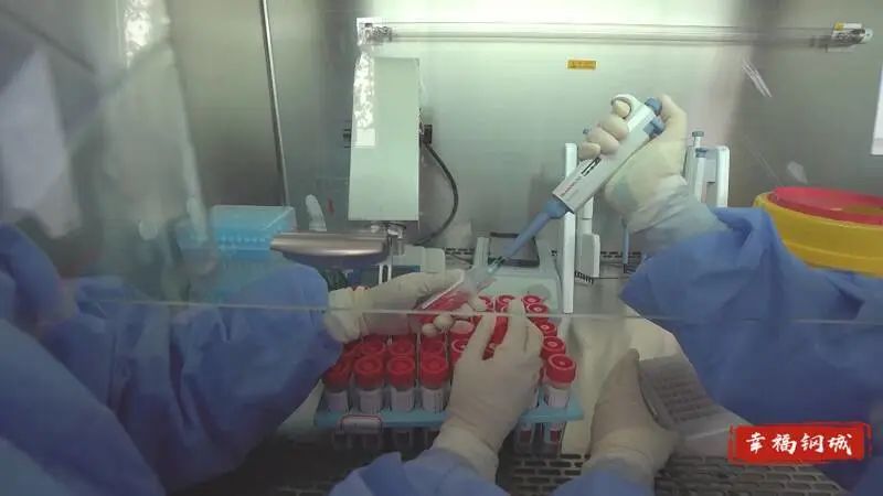 最高日检16万人次！钢城区一体化移动PCR方舱实验室投入使用