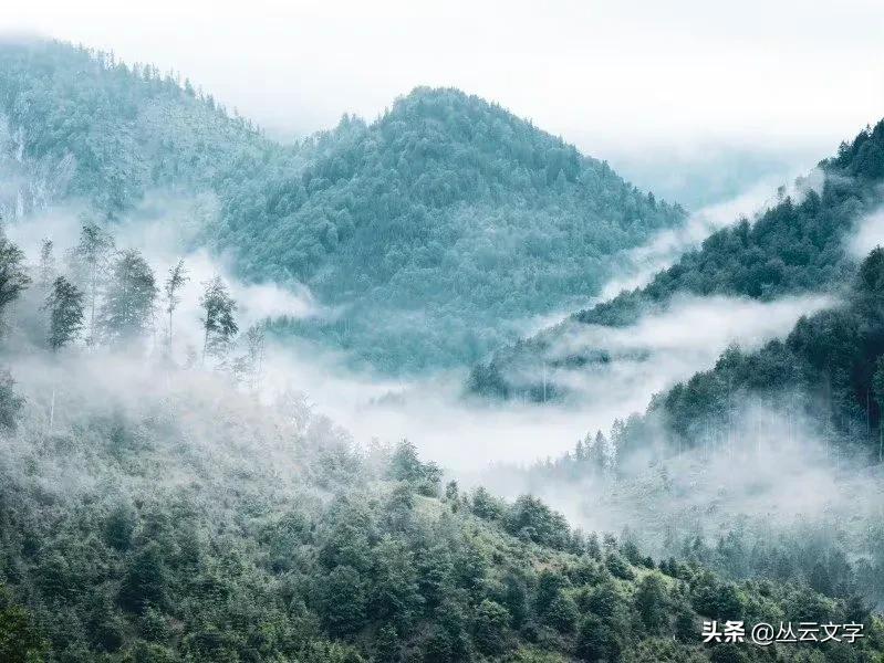 百读不厌！纳兰性德最美的10首词，字字珠玑，值得细细品味