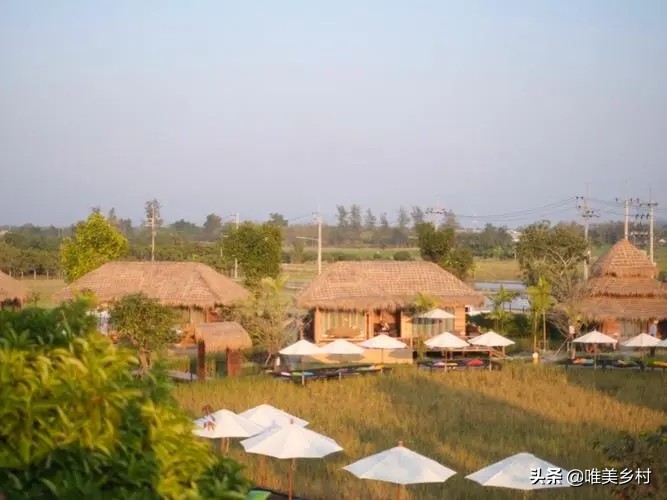 乡村产业发展，如何有效利用“四荒地”？5大创意玩法值得借鉴