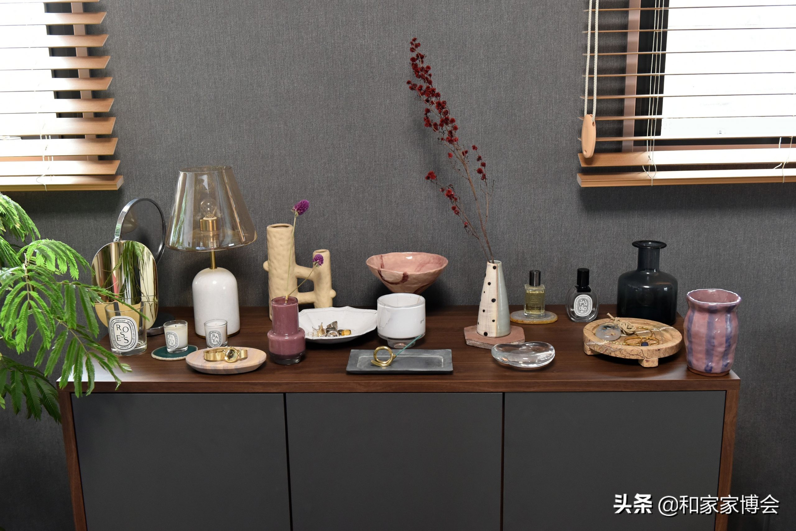 日本女生的“一居室”走红ins，一人一狗的独居生活