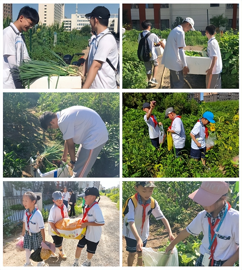 长治市第二十中学校开展献爱心绿色蔬菜义卖活动