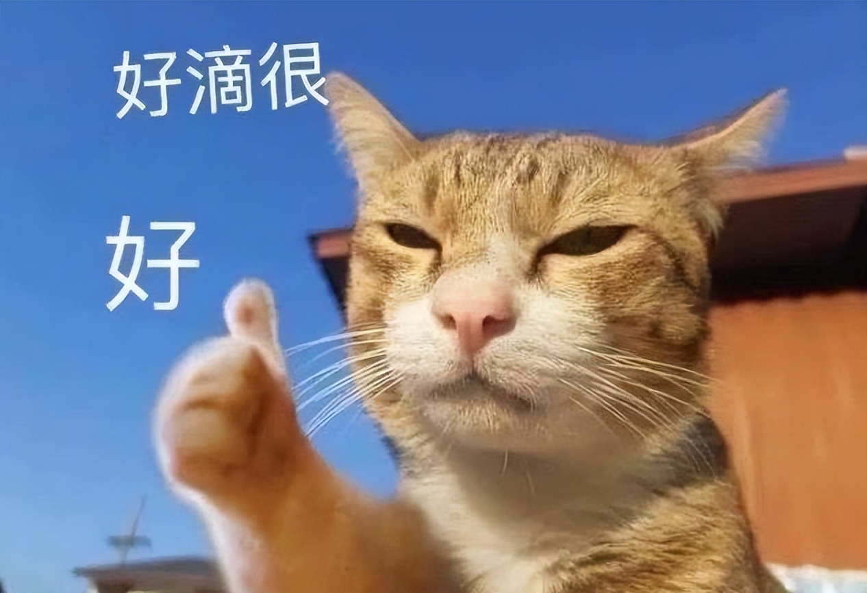 通过《伏妖白鱼镇》《龙云镇怪谈》等浅谈这类网大的规律