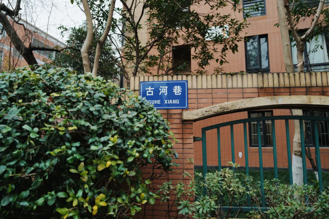没想到有一天，在菜场被馋哭