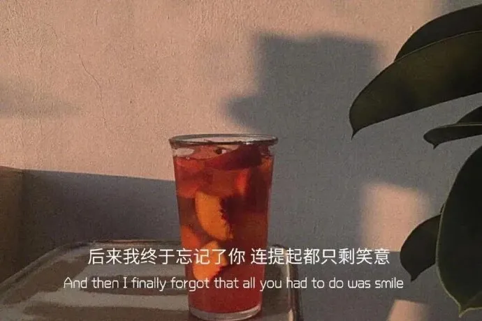 高级又令人心动的文案 ‖ 总有一天要远方举杯，敬这一腔孤勇