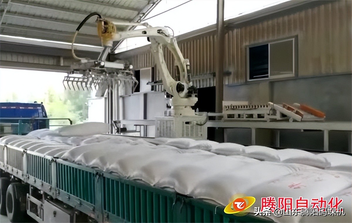 全自动面粉麸皮装车码垛机器人应用现场