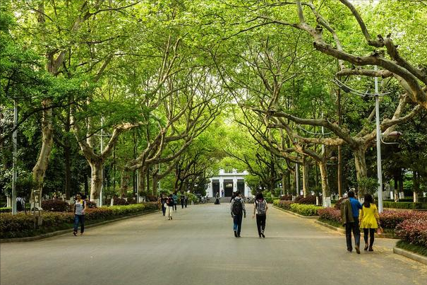 签约南京大学，这所高校获得“强援”，学生：发展指日可待