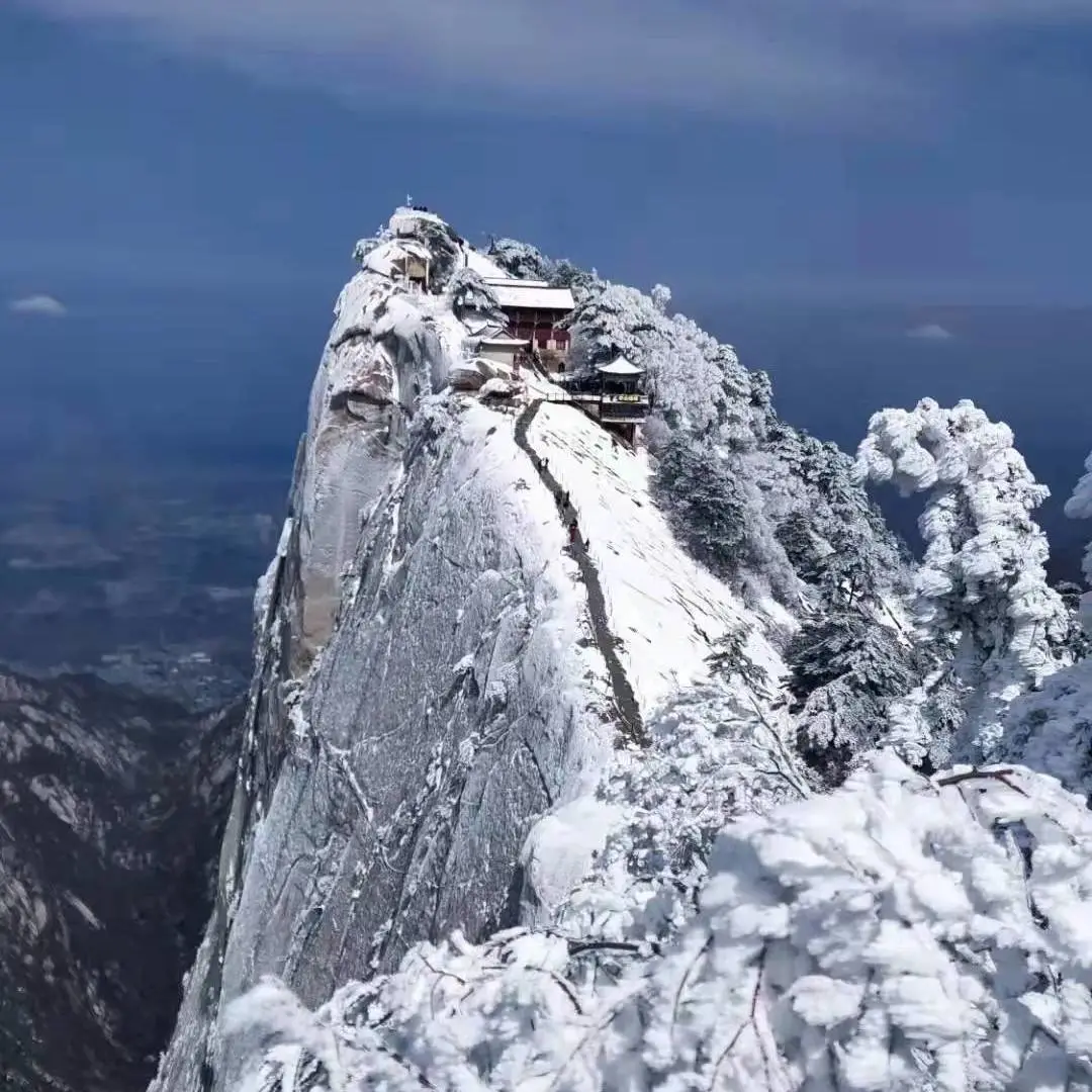 约定！待疫情散去，你我共赏华山美景~