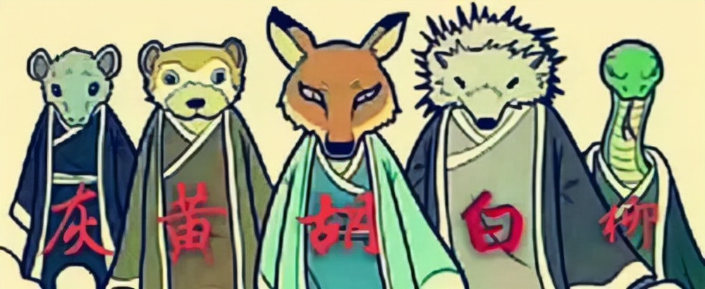 "建国后动物不许成精",如今"鬼怪"说法变少,是被禁止了吗?