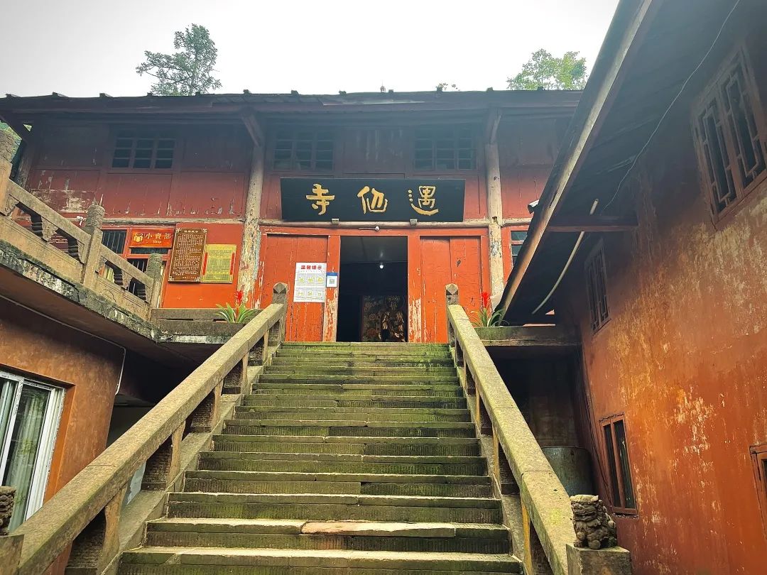 超詳細超實用！峨眉山2天1晚徒步攻略收藏起來慢慢看