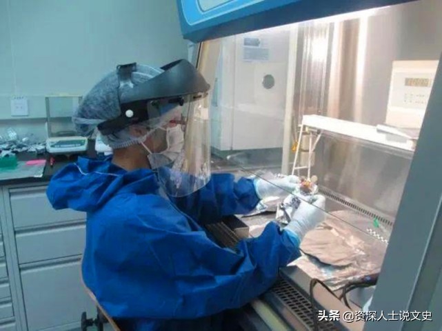 见证数万男人被戴绿帽子，DNA女鉴定师：不相信爱情，更相信欲望