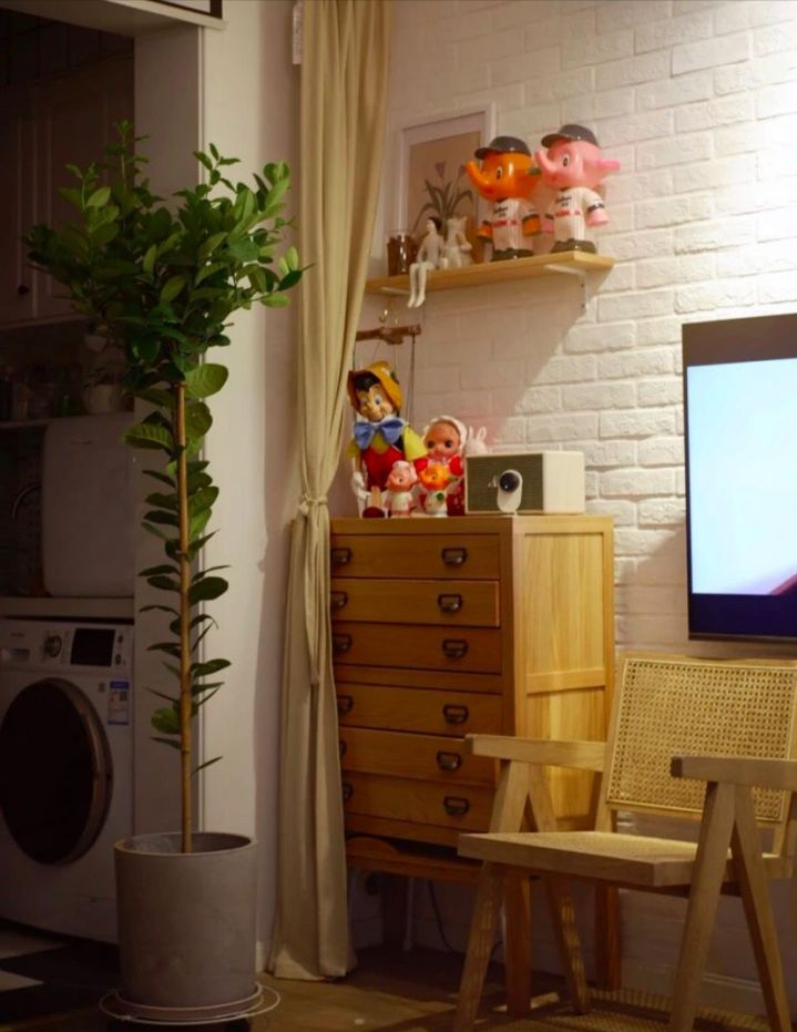 全网最火的12种高颜值绿植，杀手or圣手，就看这篇了