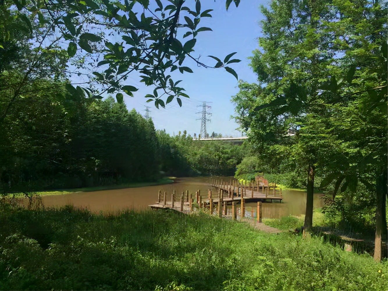 假期好去处！重庆这里野餐、烧烤、垂钓……轨道就可直达