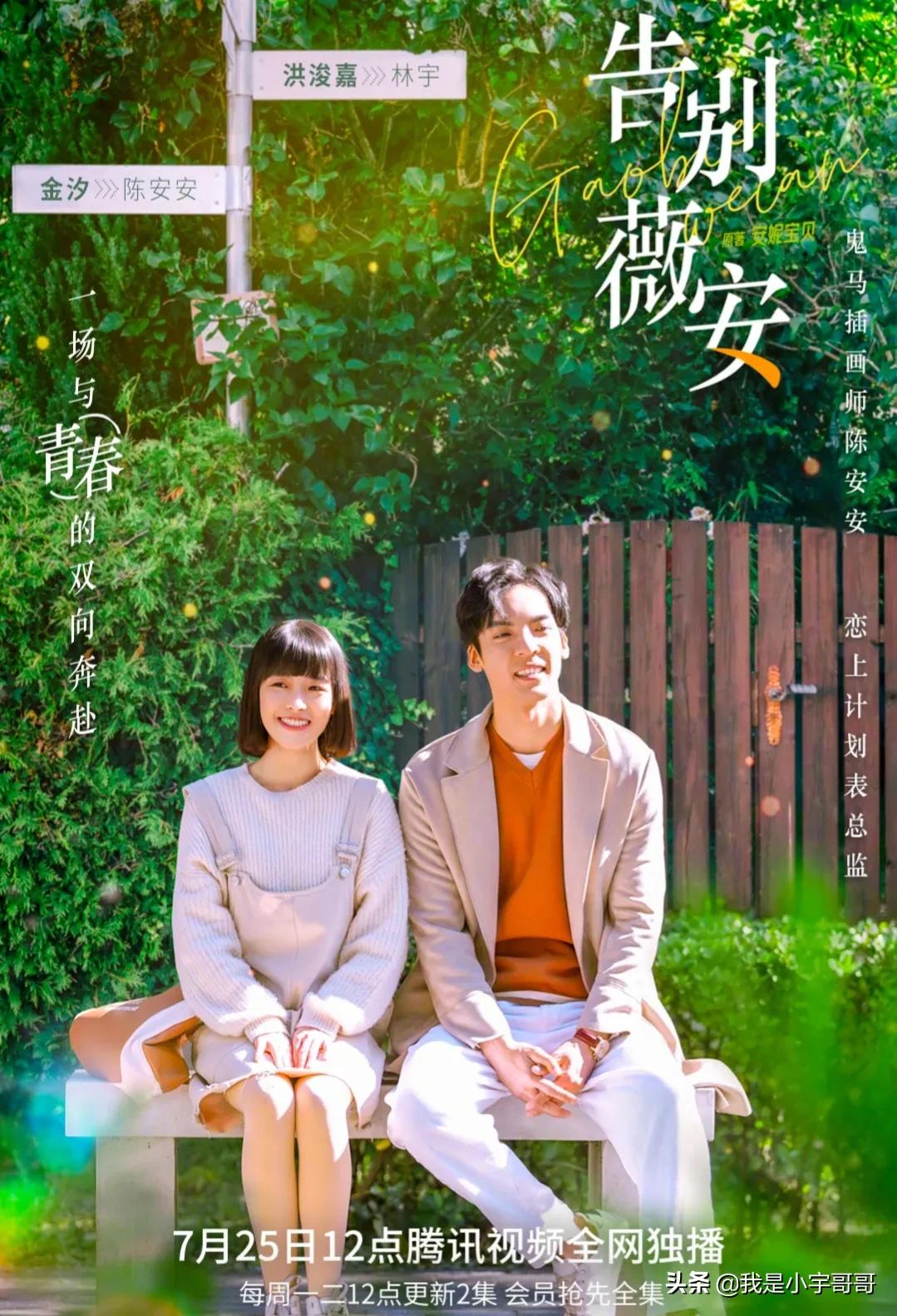 安妮宝贝经典力作《告别薇安》定档07.25，一场与青春的双向奔赴