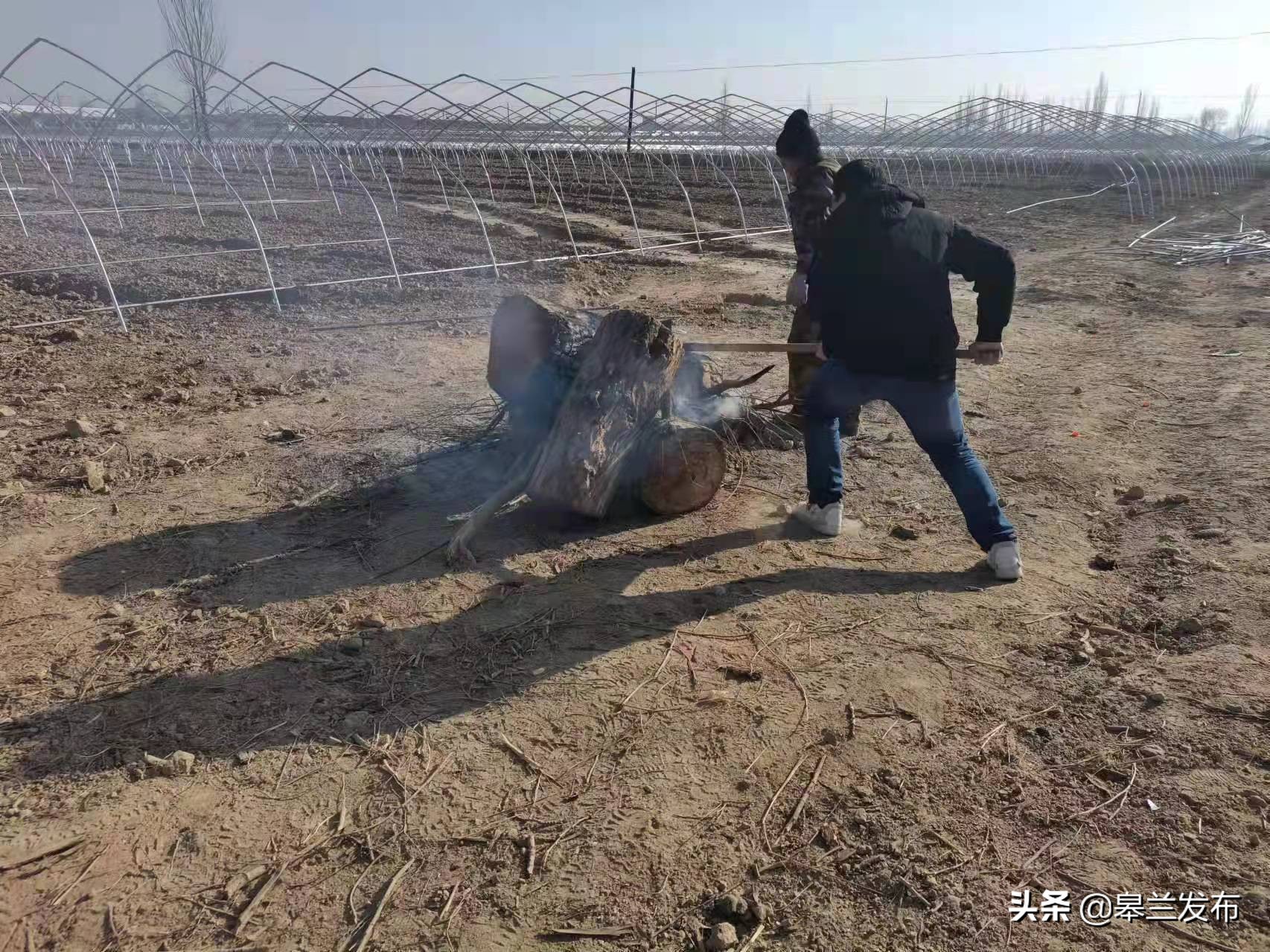 �����غ�ʯ���úá��Ӽ��˳�����������ɭ�ֲ�ԭ������ǽ��