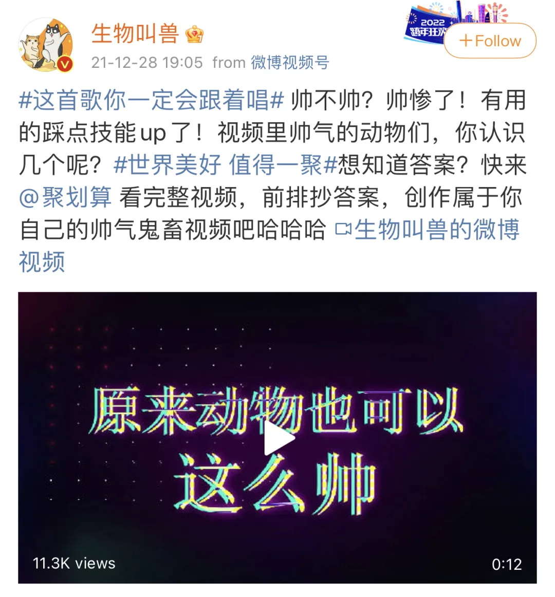 被“首个全物种跨年音乐会”戳到了