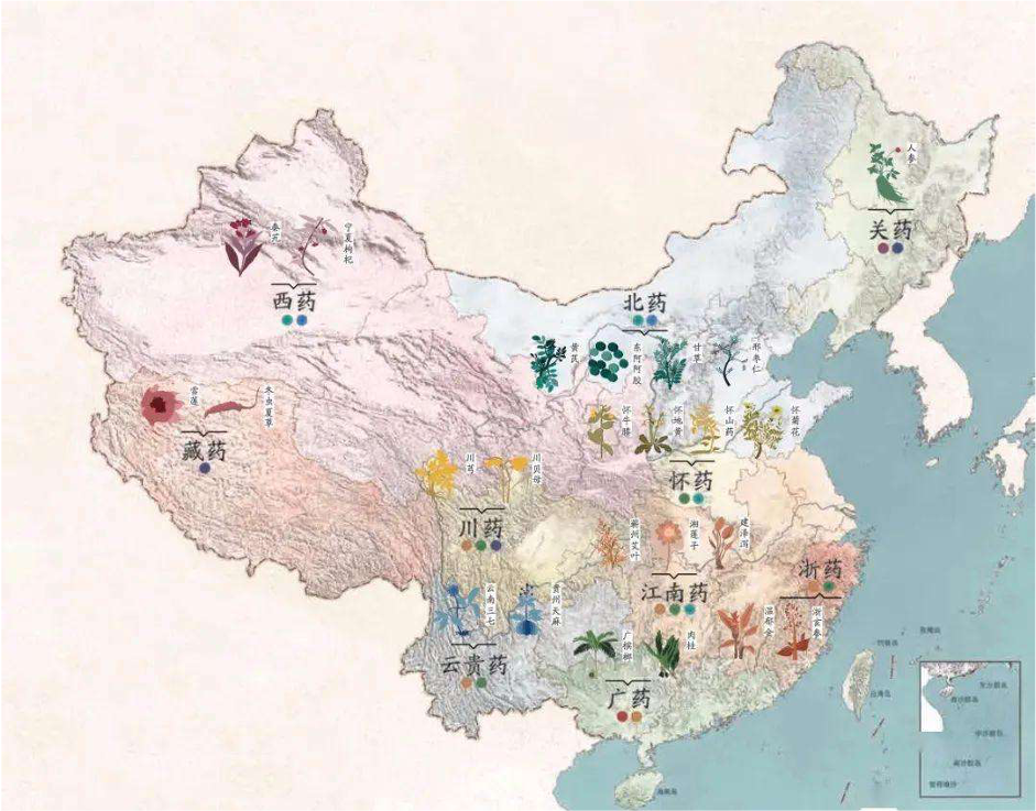 中国十大道地药材产区性从地变,质与物迁.