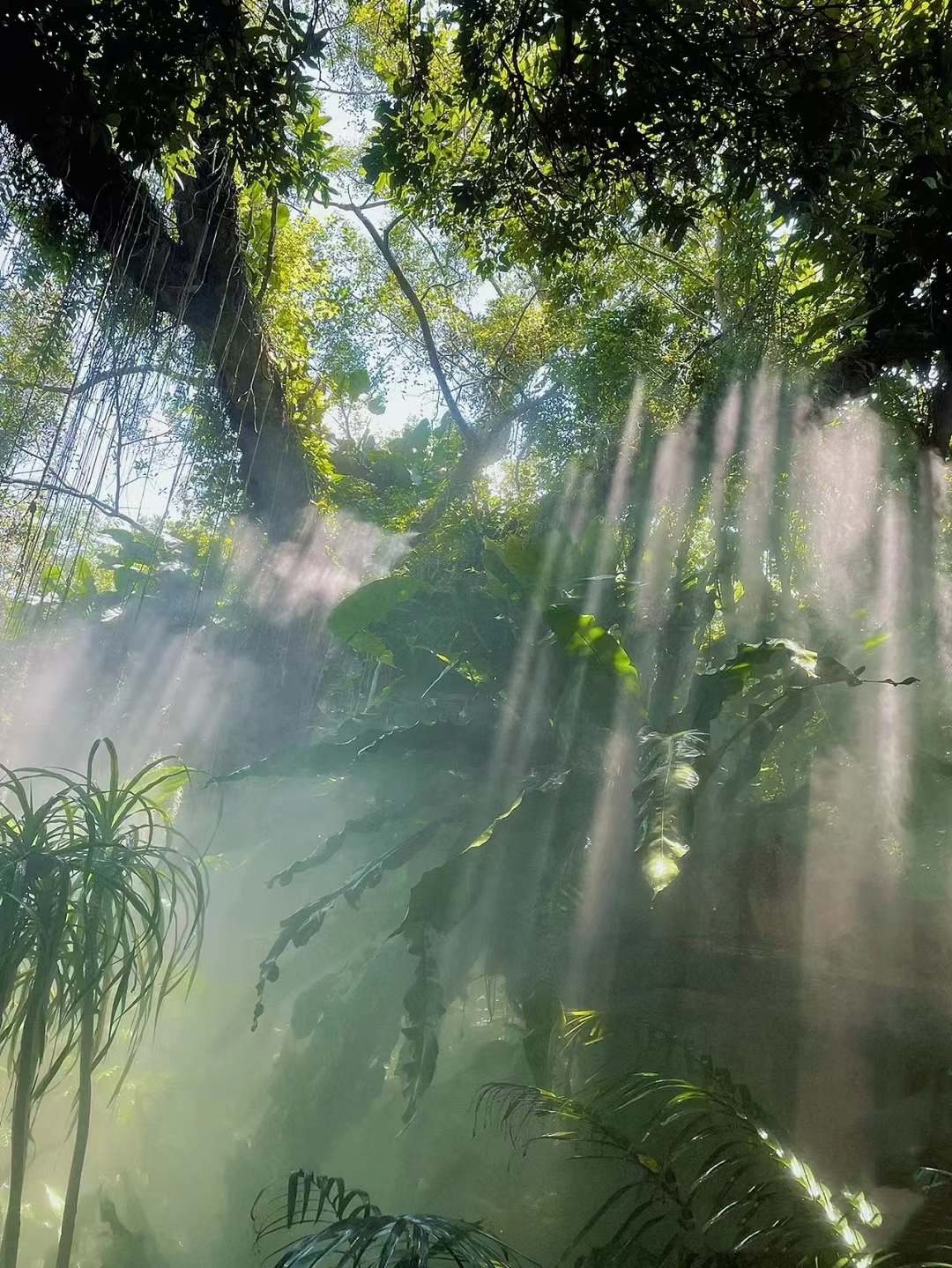 文案丨看风景 叹人生的高级干净句子