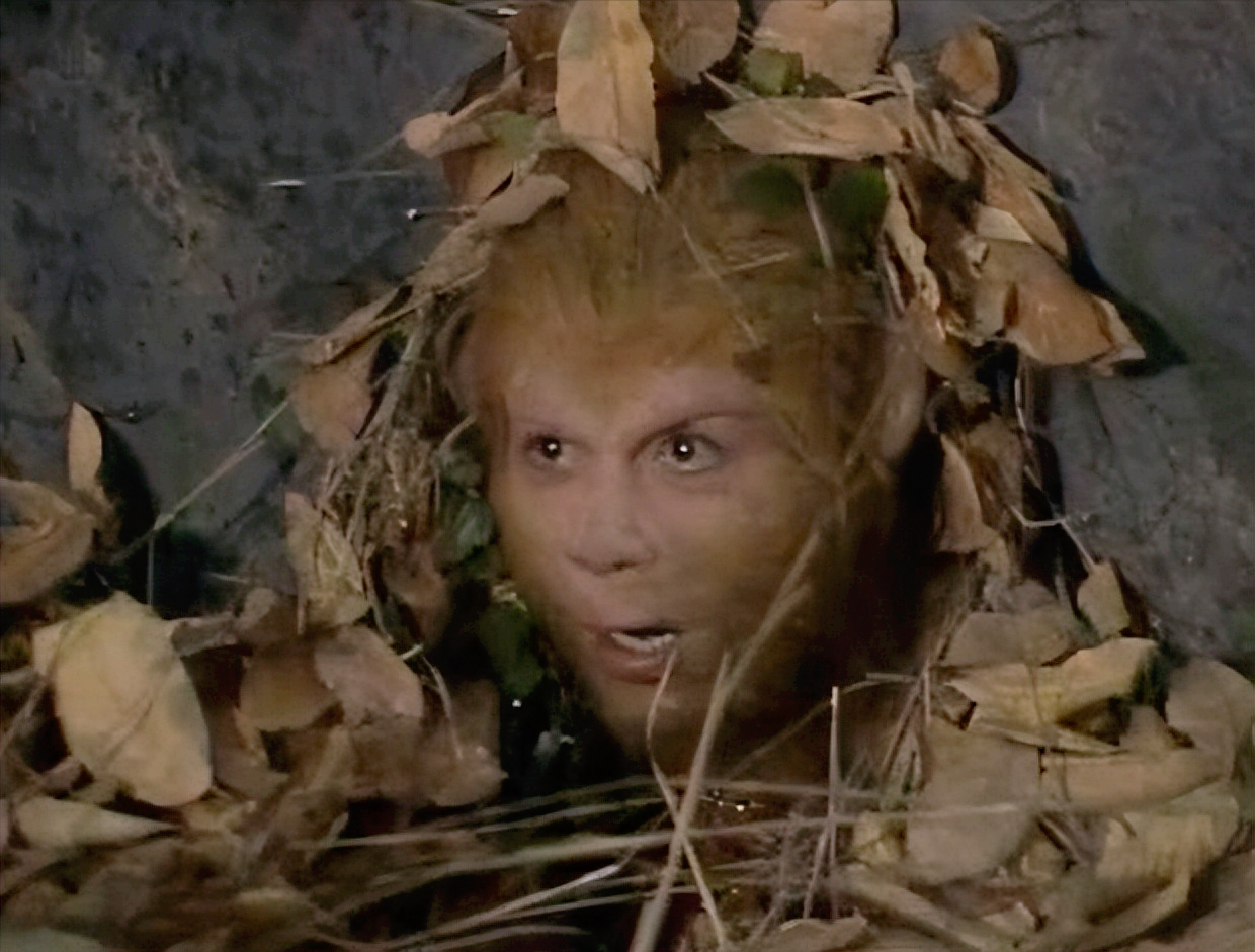 西游记前七回写的都是傲来国的那个石猴.