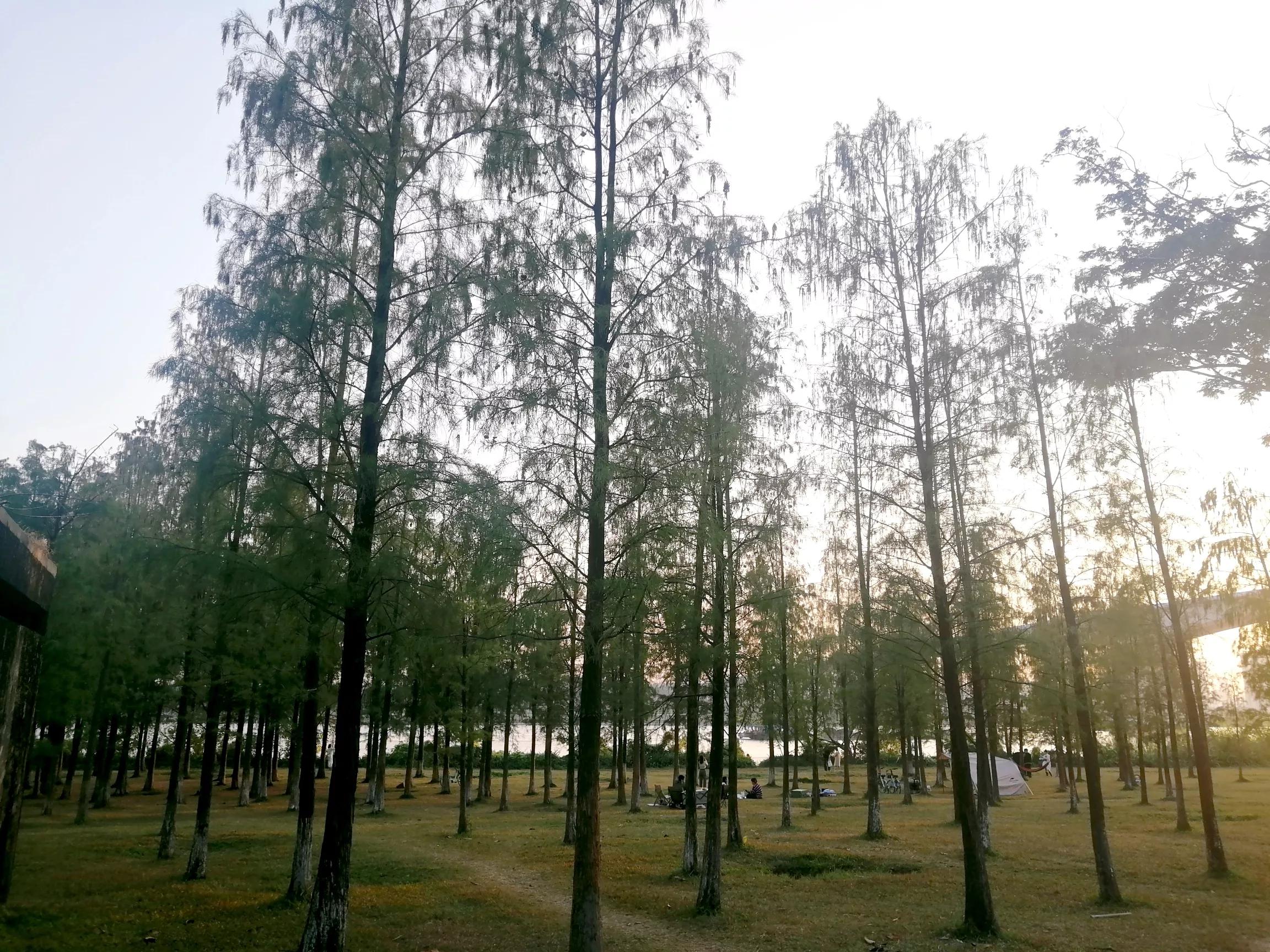 地铁4号线广州大学城一日游，带你体验不一样的大学城风景（A篇）